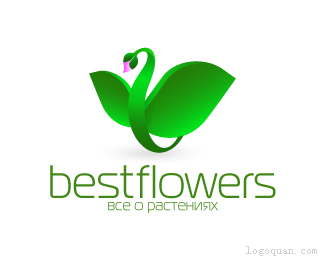 bestflowers鲜花店
