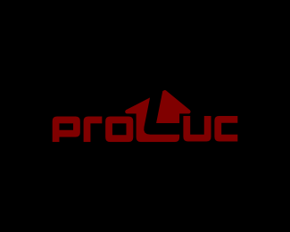 Proluc建筑公司