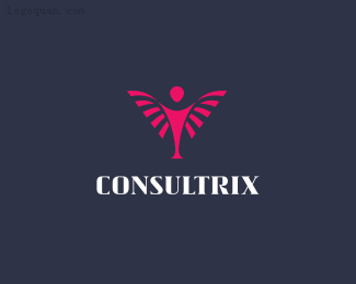 Consultrix咨询公司