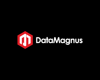 DataMagnus标志设计