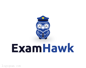 ExamHawk标志