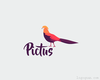 Pictus公司标志