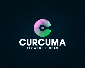 Curcuma传媒公司